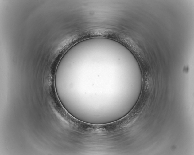 X0000093570683200710291040