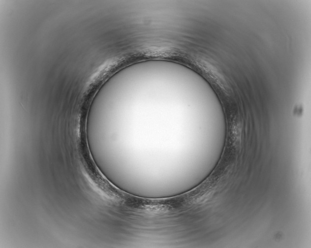 X0000093570686200710291040