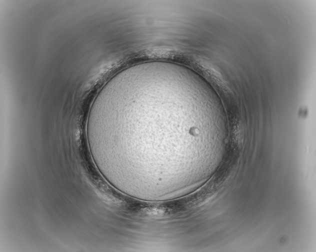 X0000093570687200710291040