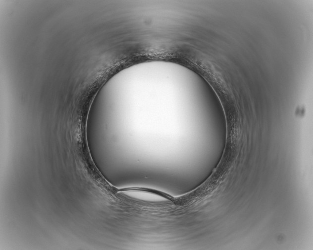 X0000093570689200710291040
