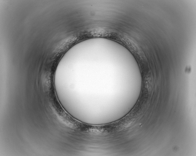 X0000093570690200710291040
