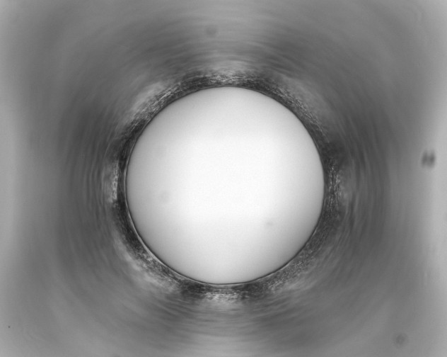 X0000093570694200710291040