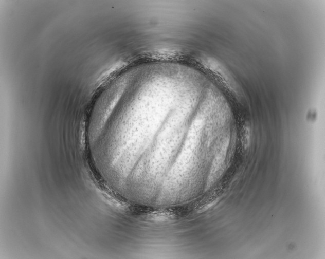 X0000093570696200710291040