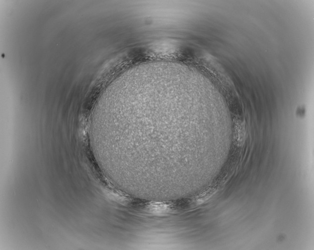 X0000093570701200710291040