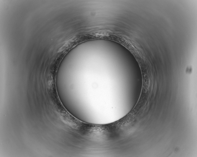 X0000093570704200710291040