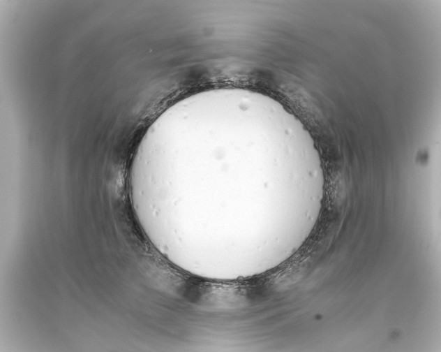 X0000093570709200710291040