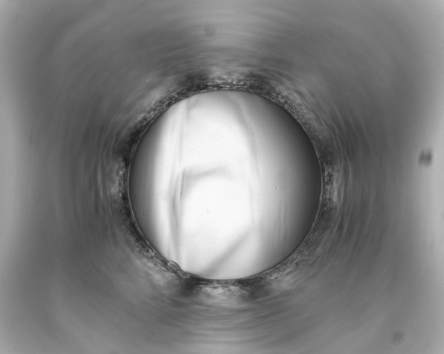 X0000093570712200710291040