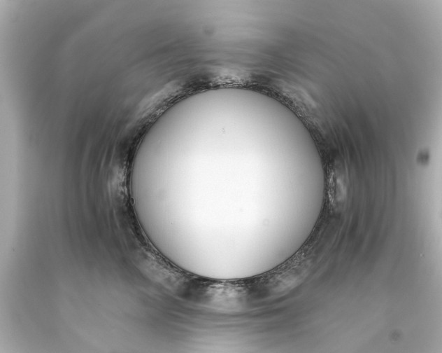 X0000093570714200710291040