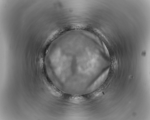 X0000093570716200710291040