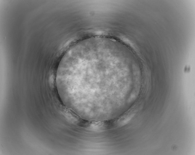 X0000093570720200710291040