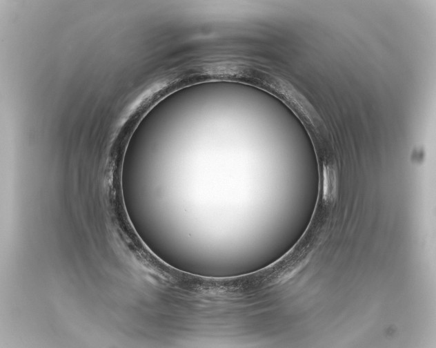 X0000093570723200710291039