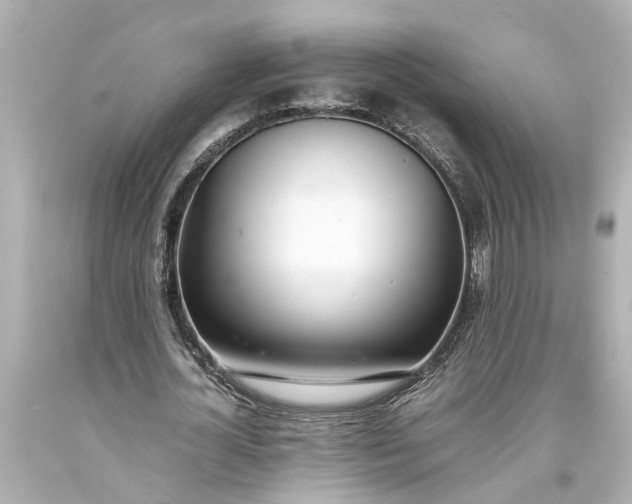 X0000093570724200710291039