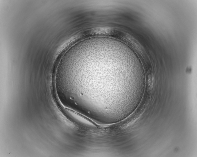 X0000093570725200710291039