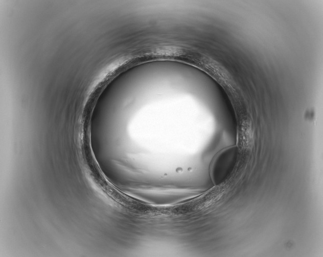 X0000093570726200710291039