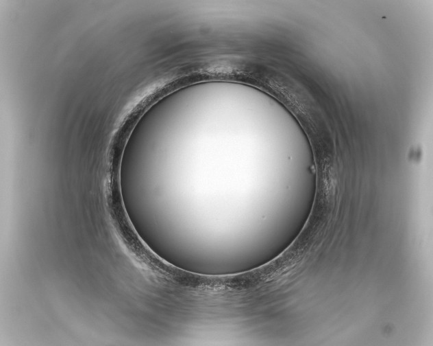 X0000093570728200710291039