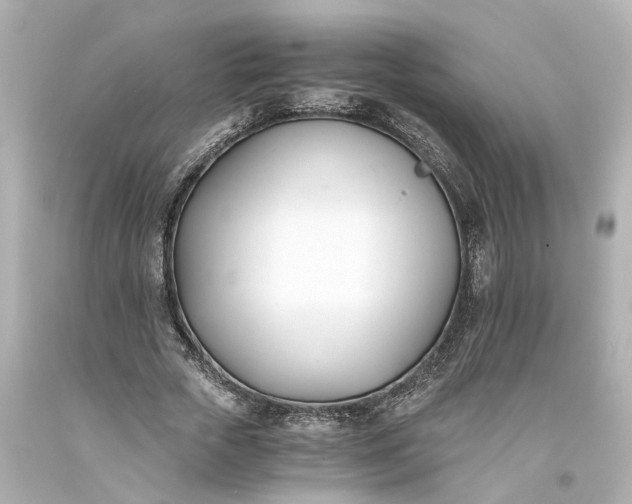 X0000093570729200710291039