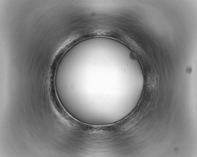 X0000093570730200710291039