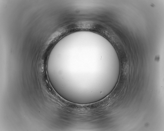 X0000093570731200710291039