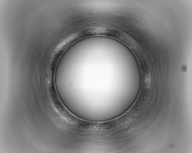 X0000093570732200710291039