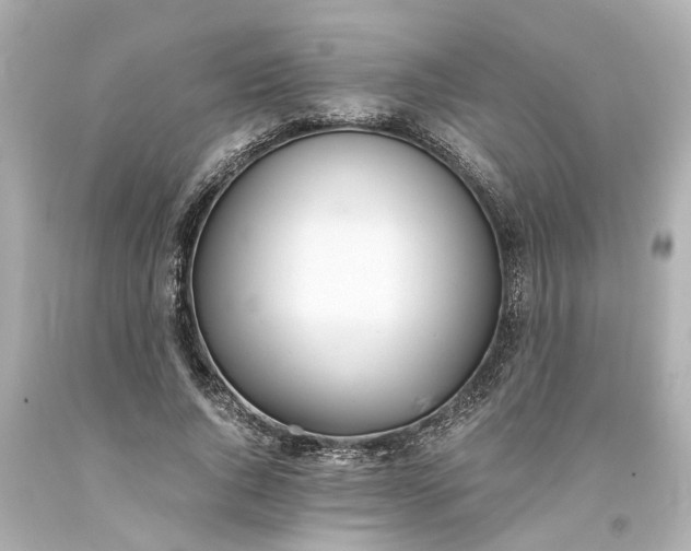 X0000093570736200710291039
