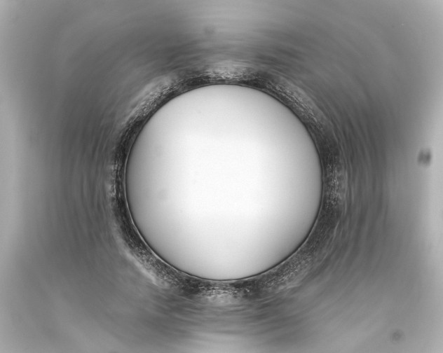 X0000093570738200710291039