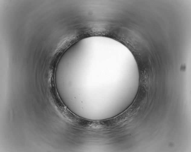 X0000093570742200710291039