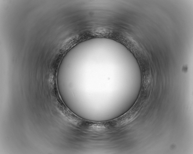 X0000093570749200710291039