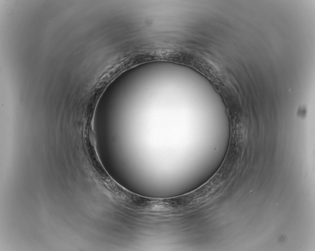 X0000093570750200710291039