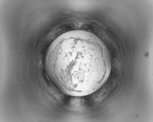 X0000093570754200710291040