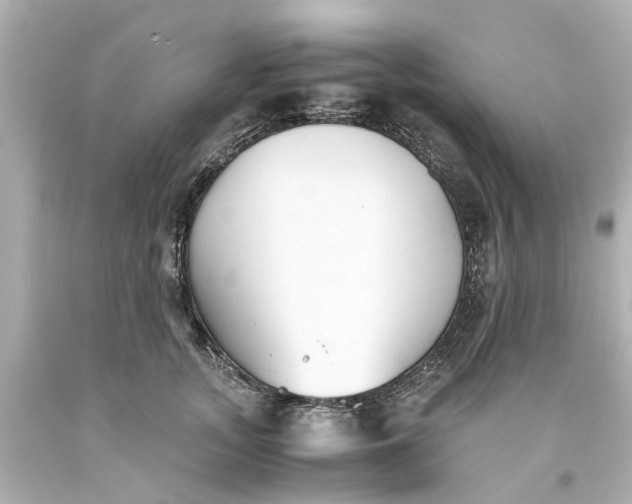 X0000093570755200710291040