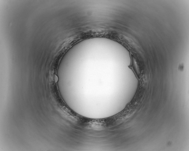 X0000093570756200710291040
