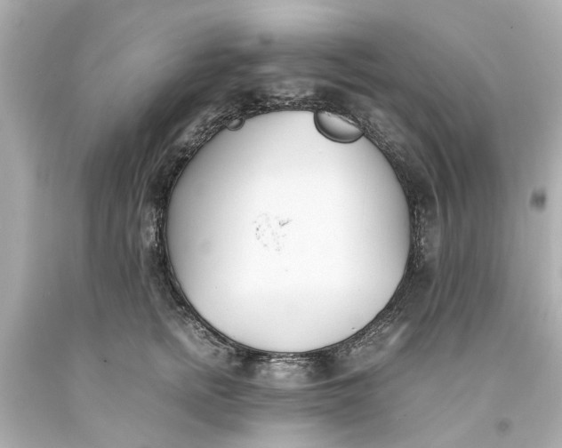 X0000093570758200710291040