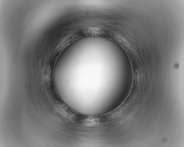 X0000093570760200710291040