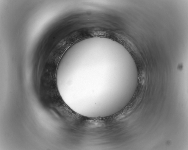 X0000093570763200710291040