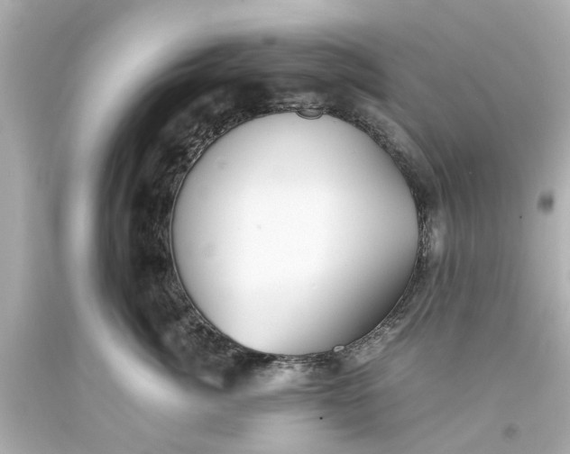 X0000093570764200710291040