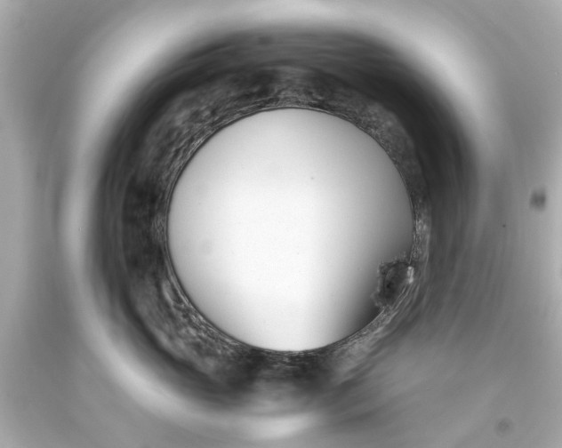 X0000093570765200710291040