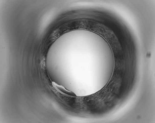 X0000093570766200710291040