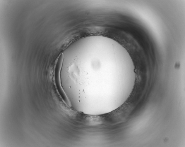 X0000093570767200710291040