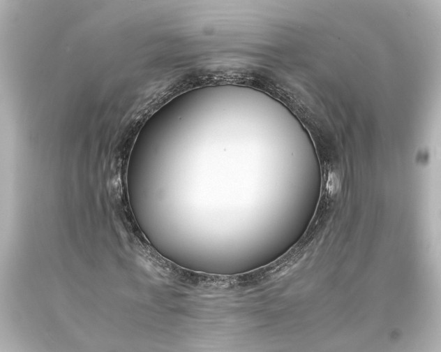 X0000093570771200710291039