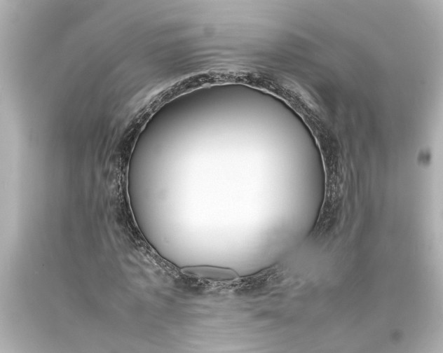 X0000093570773200710291039