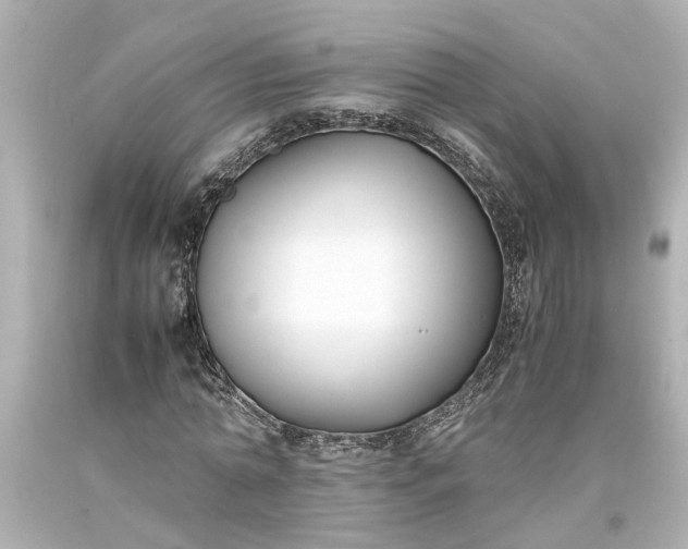 X0000093570774200710291039