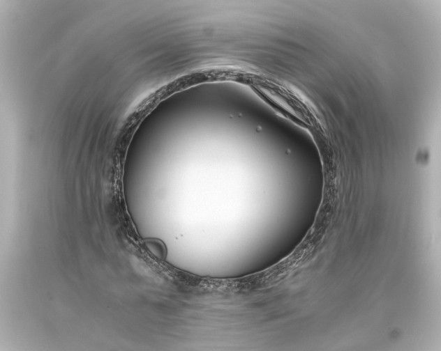 X0000093570775200710291039