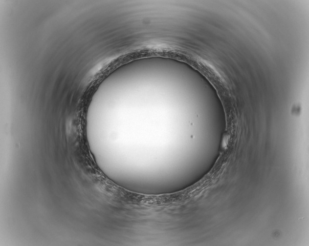 X0000093570776200710291039