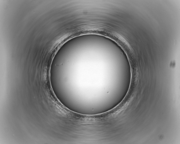 X0000093570777200710291039