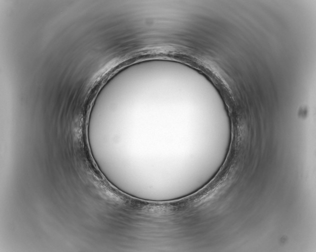 X0000093570778200710291039