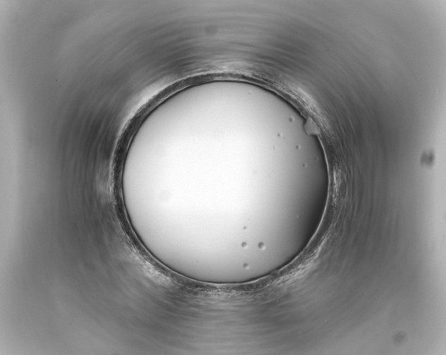 X0000093570780200710291039
