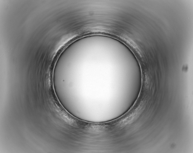 X0000093570782200710291039