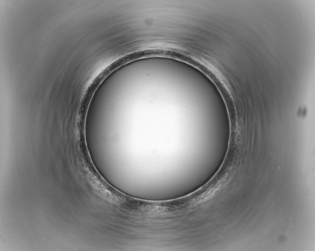 X0000093570783200710291039