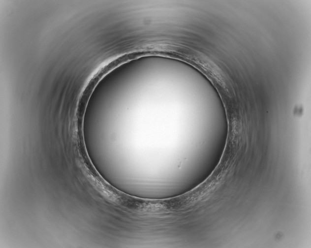 X0000093570784200710291039