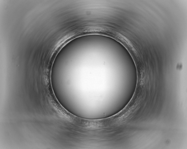 X0000093570786200710291039